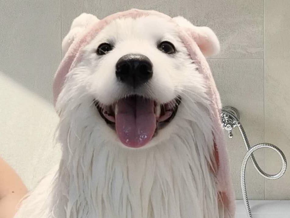 000b142c726283ac623155d06c14fea7 2