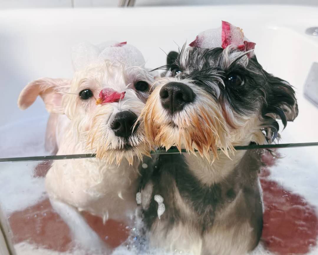 622662d677c61cb8035ad2515779dce8