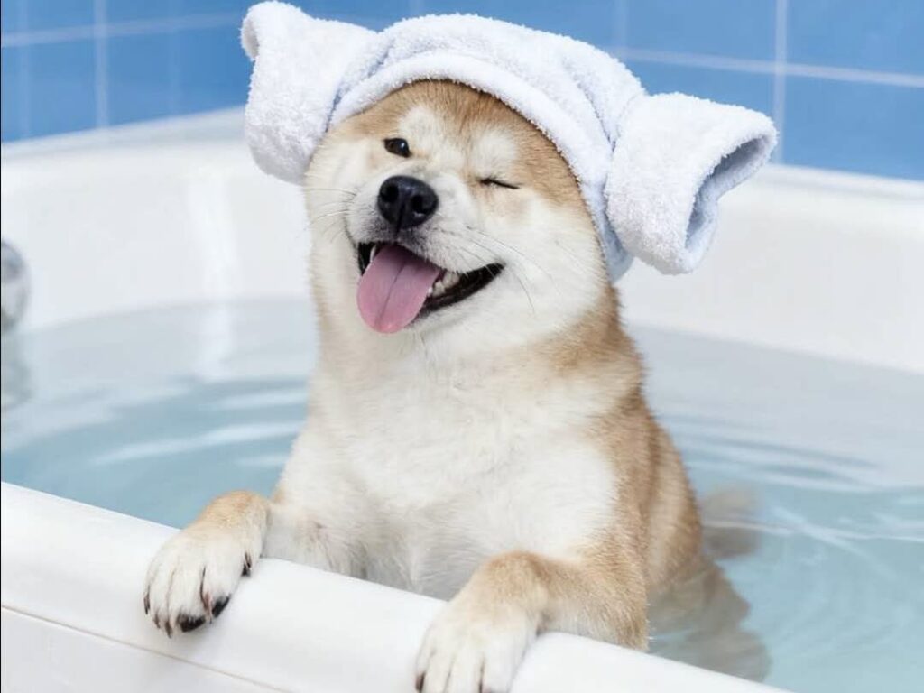 c46e8fbbc4c6f9906f1a72e539ce152e 2