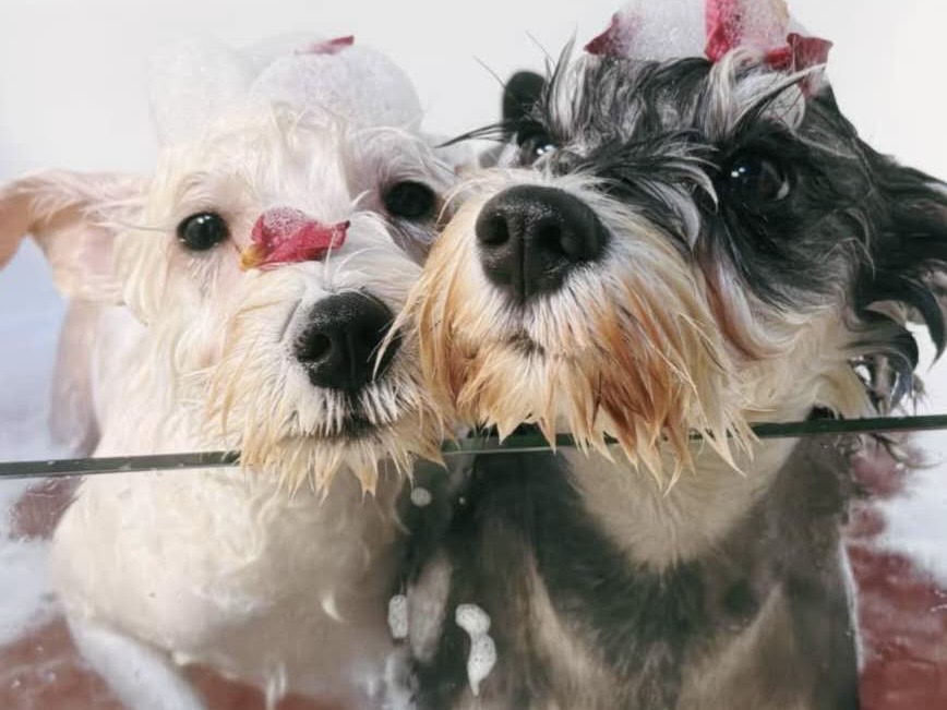 f214cfd889c29162d9e0629b16e640b9 2