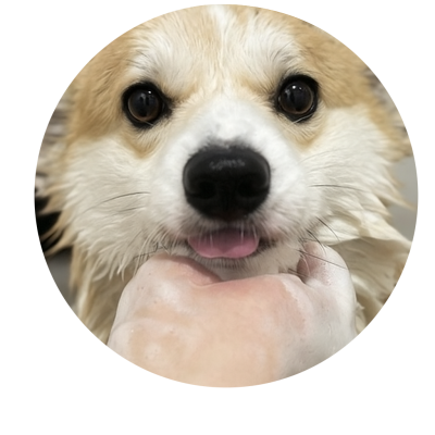 a7e9e70d 4dc4 48f8 8ce9 2cca24156b63